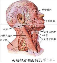 c2335faeec40be30594d90d08dc650dc.jpg