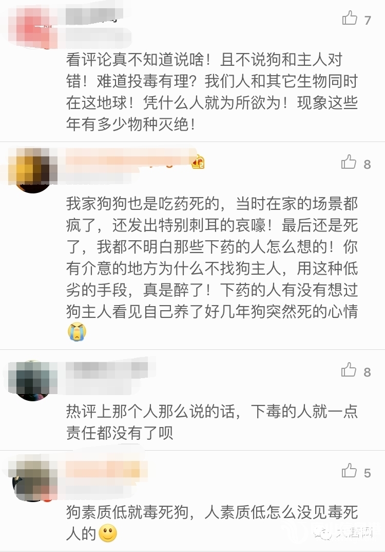 0f74f8ca7a50e41ec54830d87de6dce2.jpg