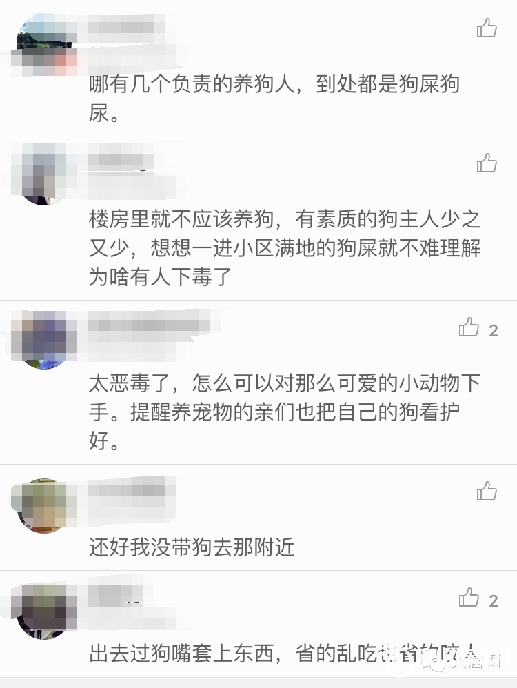 1ef70ebd7445f28d9b94066b86560cea.jpg