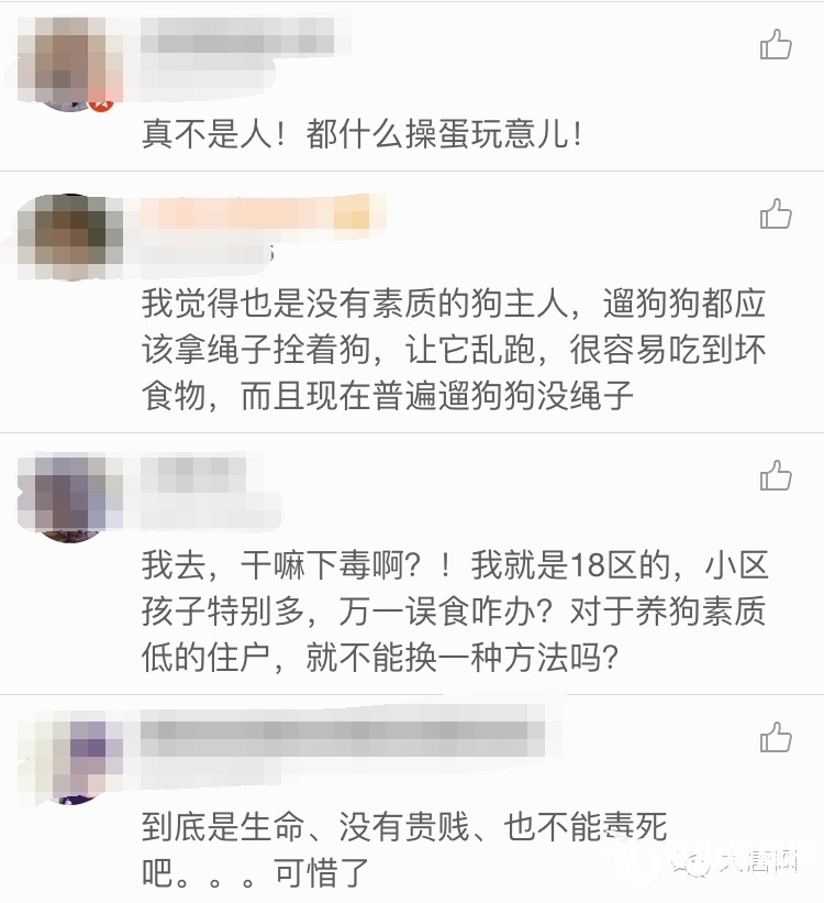 bd178cb5b2158bb0cb1321679c5e7271.jpg