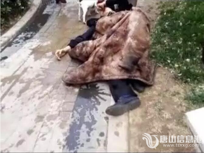 QQ��ͼ20160430225406.jpg