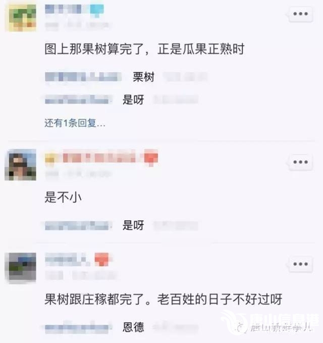c7b0b504c58630a65c0fb9f6641146fb.jpg