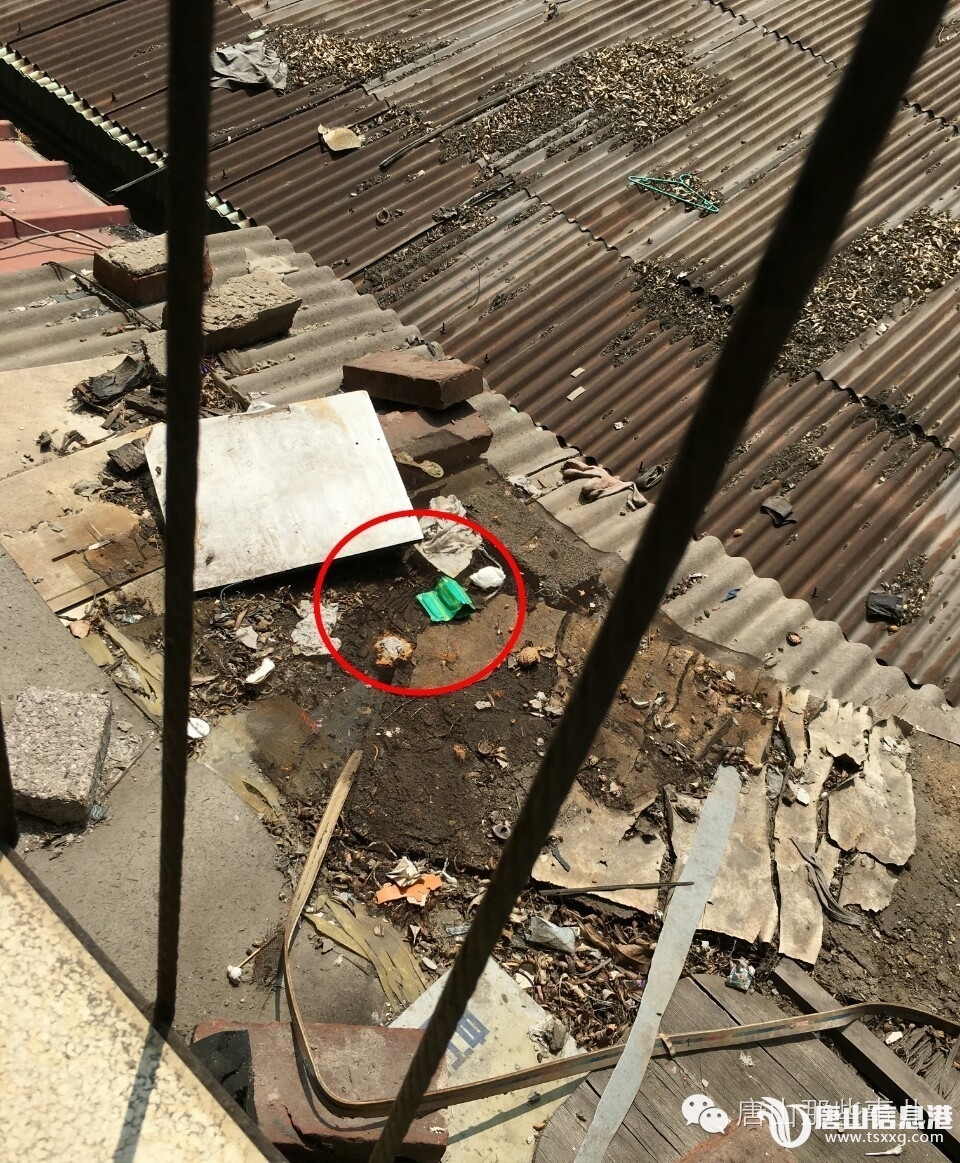 31ada27c290f3e2090fdc9e46d7f28a5.jpg