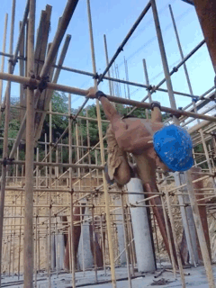 17af65ebfd958a46b8b6ee0a69eff004.gif