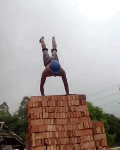64994c2bd6b98c380487fb99055111c1.gif