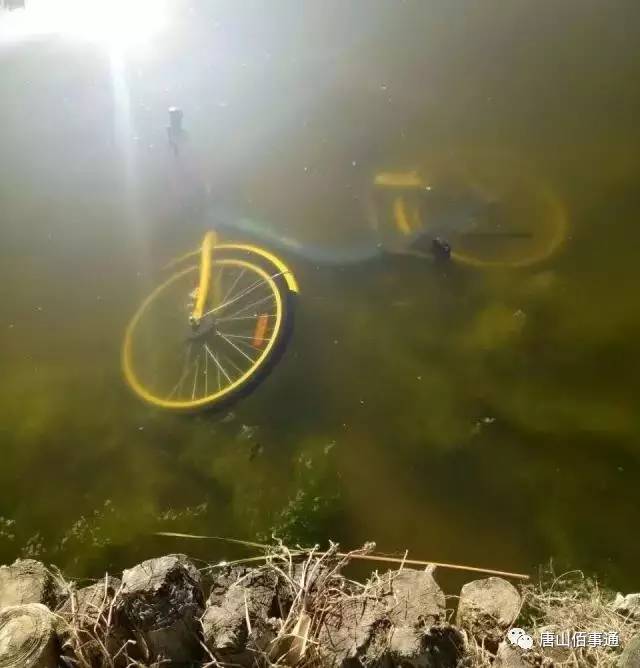 65c97d739b3edecdef3605649f6485fc.jpg