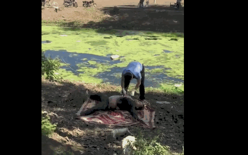 fbacd80846b2a858a108cf22bce8f4d6.gif