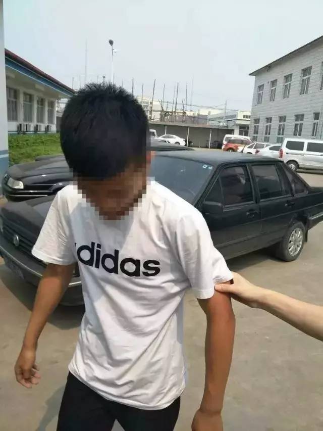 2393bd2d26d7dd06c30e2ae9b27f8f12.jpg