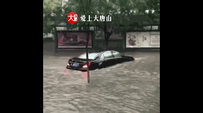 5c62280f75a1c4dcda234db10394f58e.gif