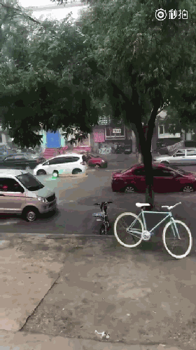 0f038e6184fd3bd37f39f47578fb99f0.gif