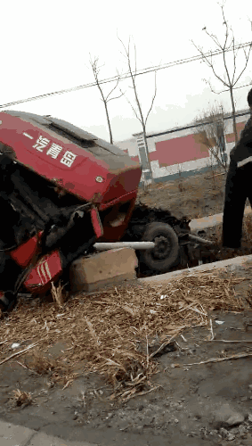 ���� (1).gif