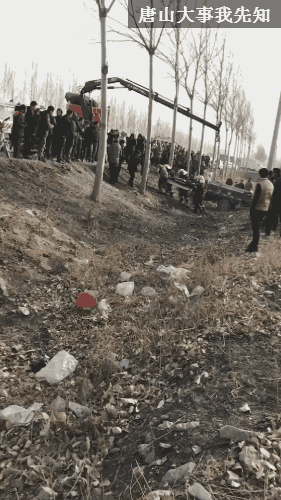 d2393bde05a2ccb29b0e10ba2ec7ab1a.gif