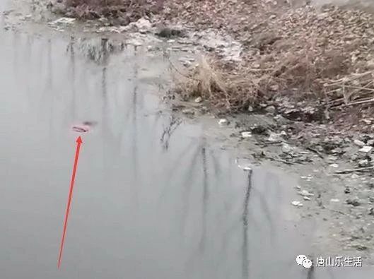 51b74616b349887d9e8cf0bcaef1d264.jpg