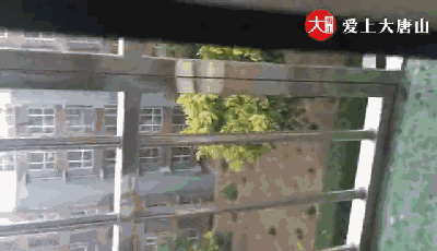 52dc80268554b0fd62a529f6e97f196f.gif