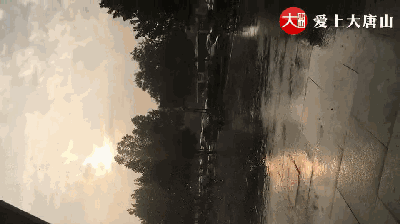 64adf67e27d12b5946d02743dc9376ed.gif
