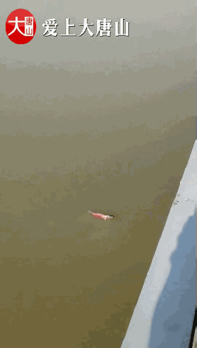 cf23e9779ed1e4ec0429745676a84ca6.gif
