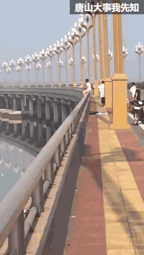 309dbfbe7764de447f3bdd9c04c10564.gif
