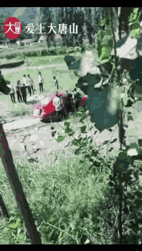 43f35029256f6b25b5d7f6fa74027636.gif