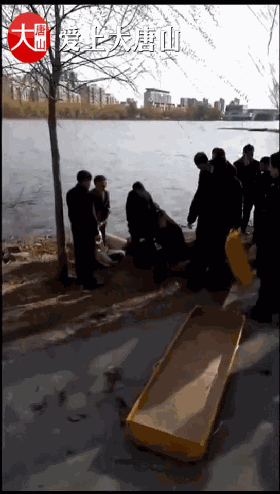 182f82b4ffc53774cad39cba86c725e9.gif