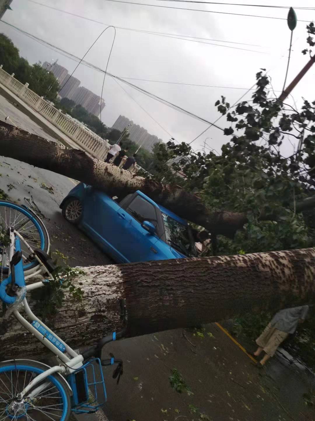 28e54f40ae82ec87d075ce809d7d3b01.jpg