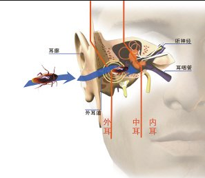 e0cc6a46efac9b05338a393d26a42461.png