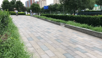 c1c109b051d40bf7534f7f6504620c76.gif