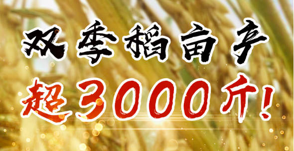 20201102143359.jpg