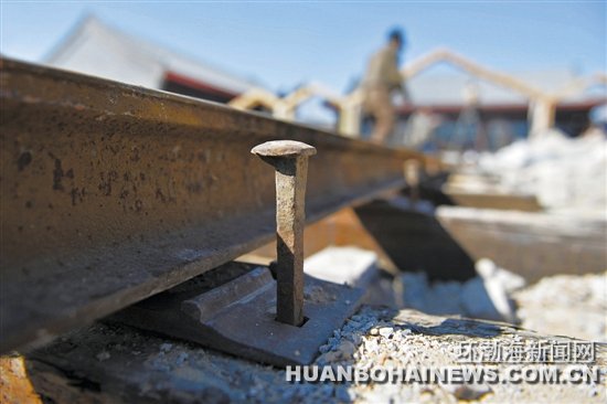 ��ɽ԰:�ӻԻ͵���ʷ�����������δ��ǰ��