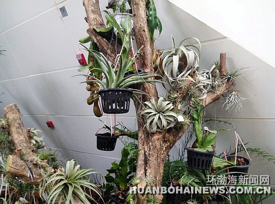 2016��ɽ��԰��׼������