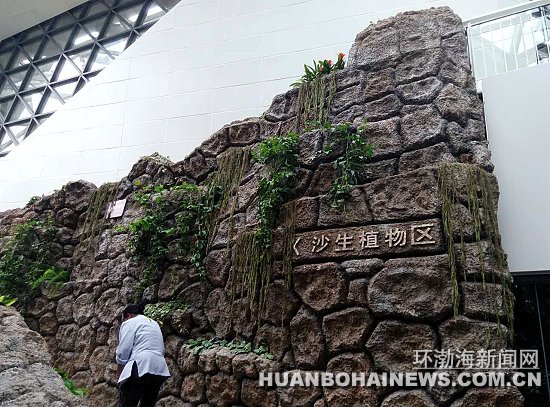 2016��ɽ��԰��׼������