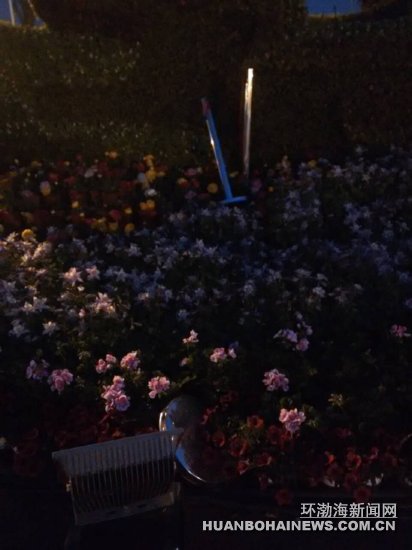 ��ͼ������ȥ��԰��͵�����Ȼ������ƻ���