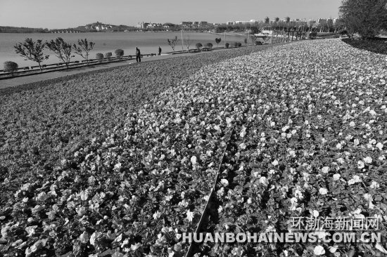 ������ɽ������԰ʱ��