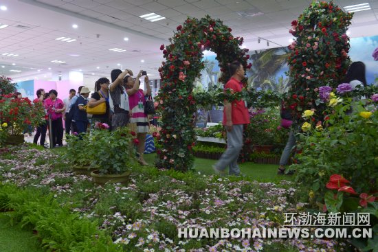 600��������罫����ɽ�������鱦���Ƽ�������