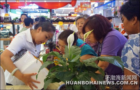 �ưٴ��������¾� ��������㳡�ܵ꿪ҵ