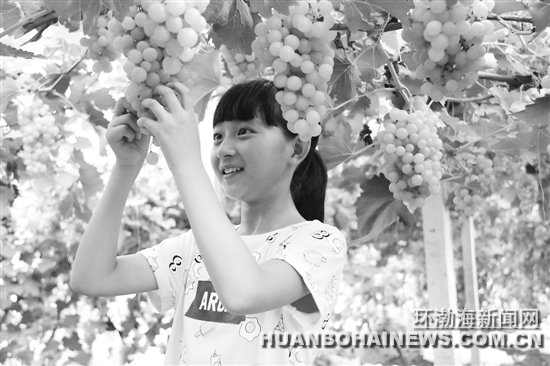 ����������ɫ��̬����ũׯ���������οͲ�ժ����