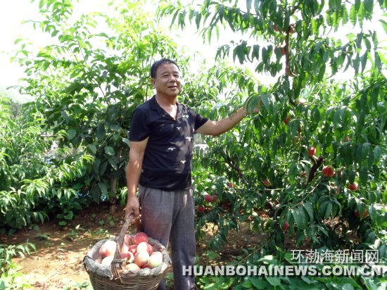 ���Ҵ��������ۼ�ȴ�������� ��������Ԯ��