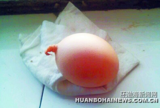 �����������С��β�͡�