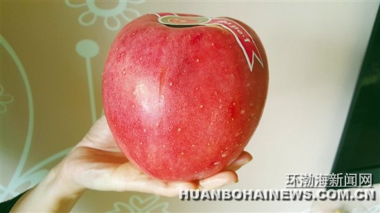 �߼���ء�ƽ������������