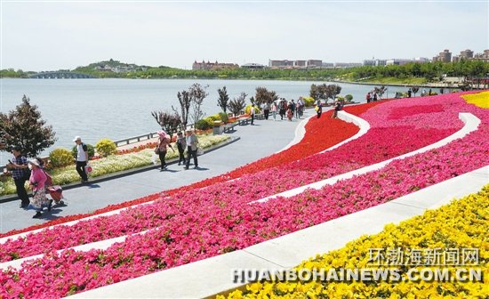 ��ɽ�е�ʮ�ε����ᱨ����(��)