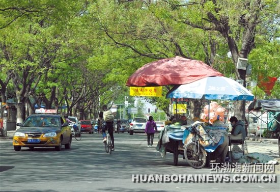 ·��������������������ͣ�ҷŵ���������