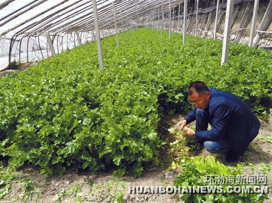 ��ɽ���ϲ�ũ���ٹ⣺ƾ�����ֲ�