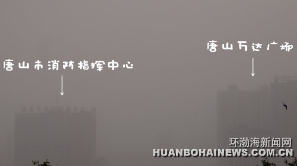 ��ɽӭ������������� ������ɳ������