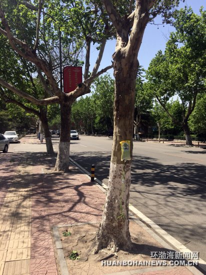 ��ɽ��ͷ���Ϲҡ���ƿ������ͼ��