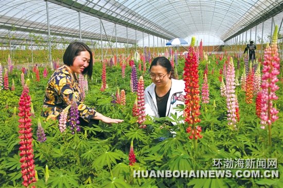 ³�����ڷ������塰�����仧��