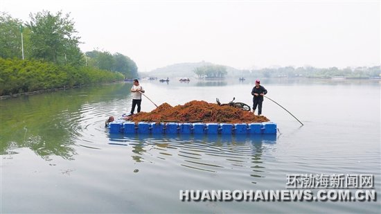 �Ϻ�����