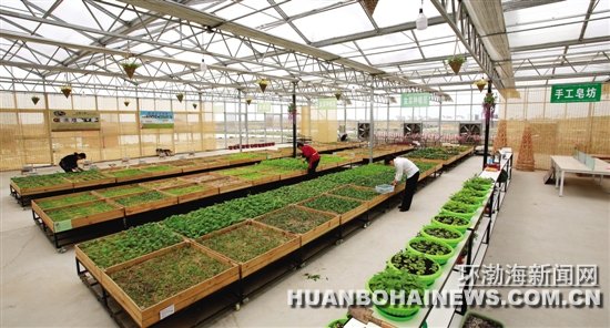 �����������ξ���ֻ�ǿ���