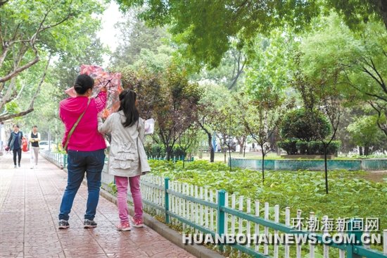 С�꽵�� ѧ�ӱ���������