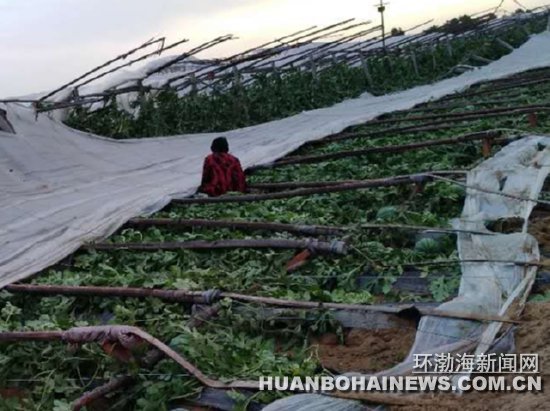 ���ε����� 2�򹫽���������������ͼ��