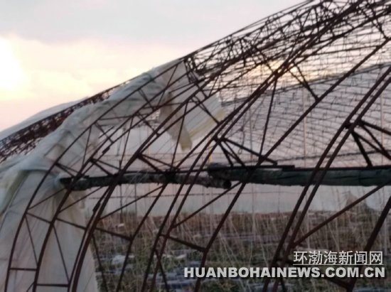 ���ε����� 2�򹫽���������������ͼ��