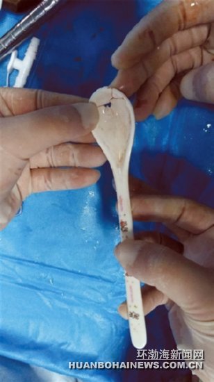 ��Ѯç�����ܴ�����׿�ס��ʳ��